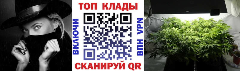 Купить наркотик Тавда ГАШ  Галлюциногенные грибы  Меф  Бошки Шишки  APVP 