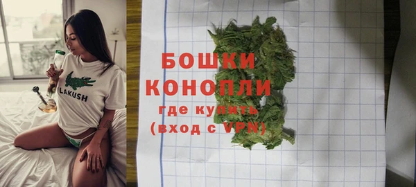 крисы Россошь