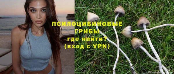 метадон Алексин
