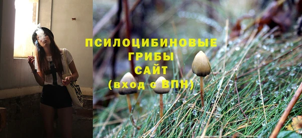 кокс Алексеевка