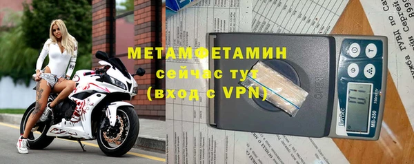 прущие грибы Ростов