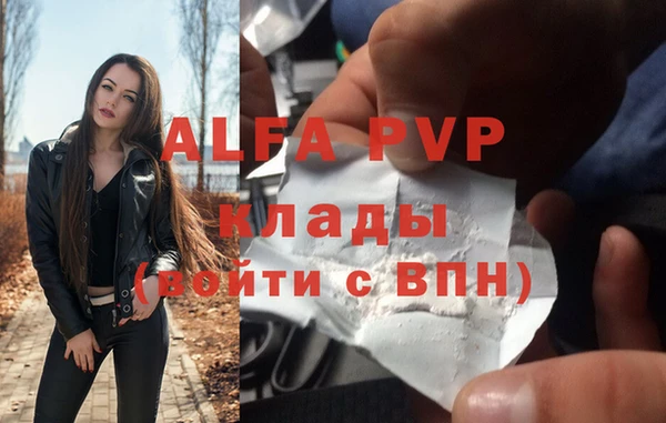 прущие грибы Ростов