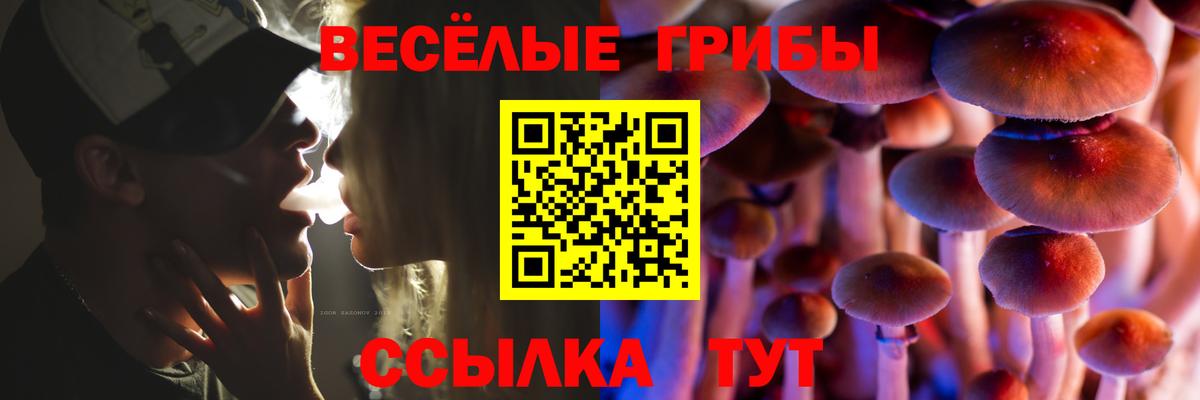 Псилоцибиновые грибы мицелий Тавда